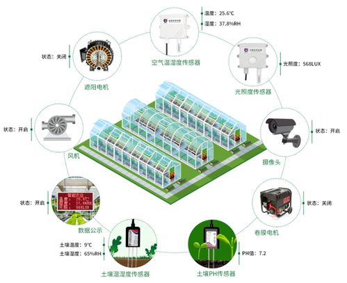 山东寿光的蔬菜产业有多强